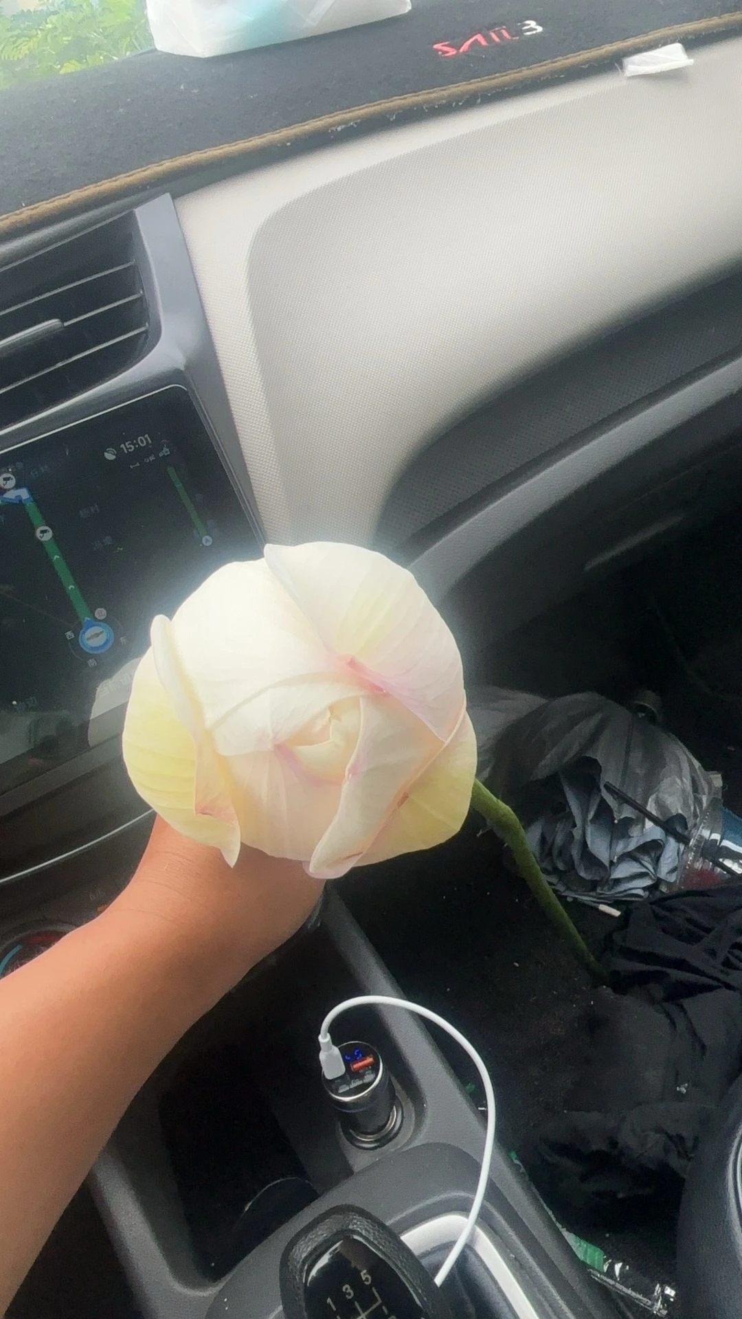 夏日荷塘